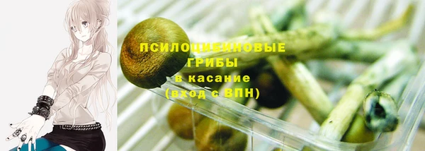 бутират Медвежьегорск