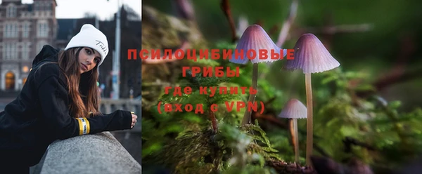 крисы Михайлов