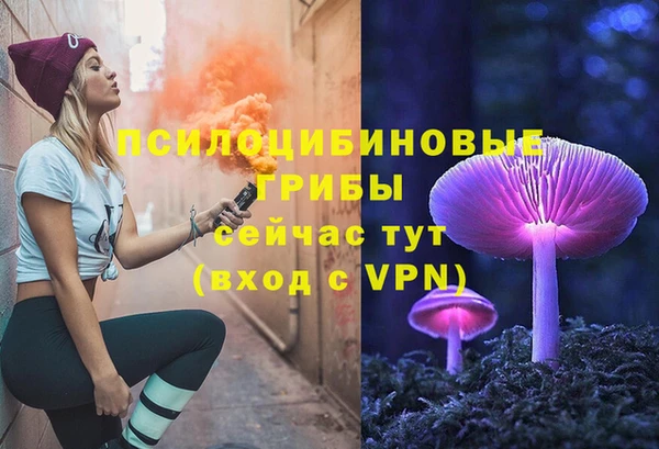 гашик Медногорск