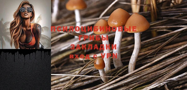 гашик Медногорск