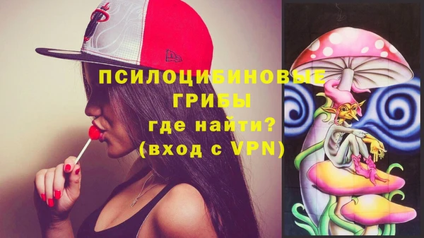 бутират Медвежьегорск
