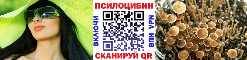 Галлюциногенные грибы мицелий  Печора 