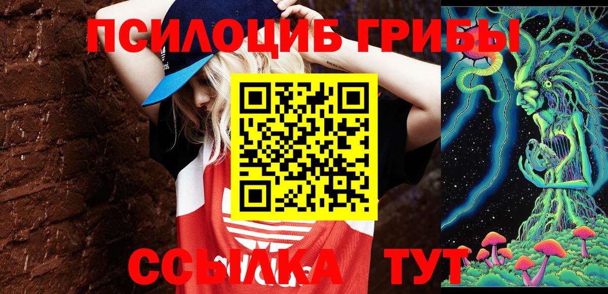 Псилоцибиновые грибы Magic Shrooms  Печора 