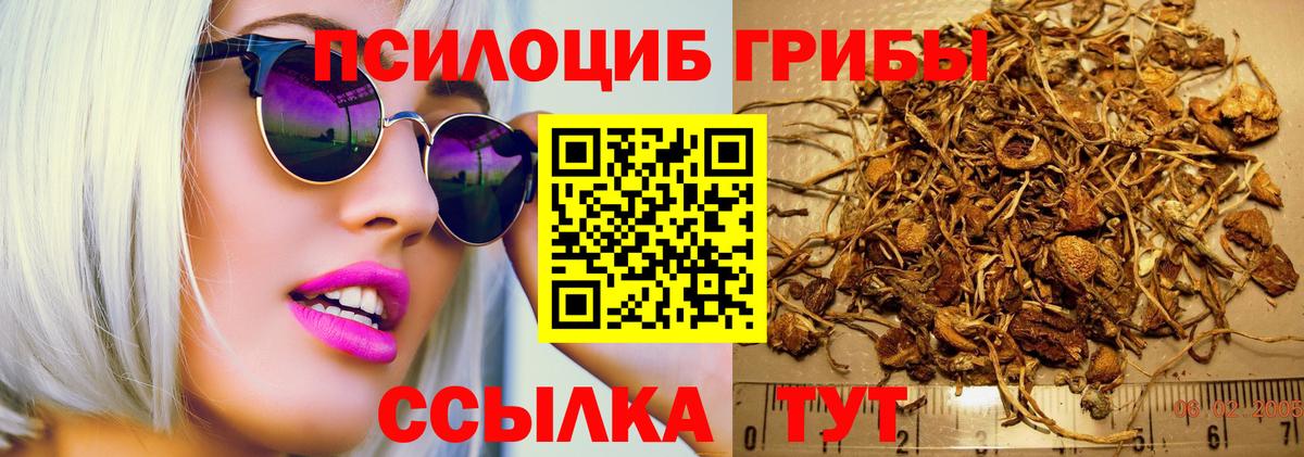 Псилоцибиновые грибы Psilocybine cubensis  Вход с VPN  Печора 